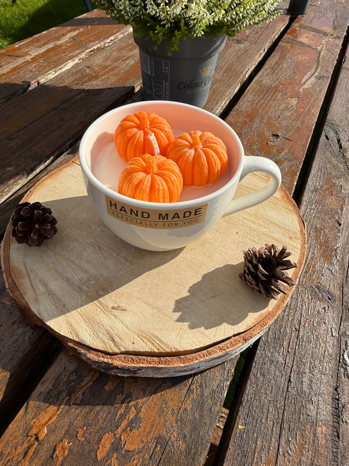 Soy Dessert Pumpkin Cream candle