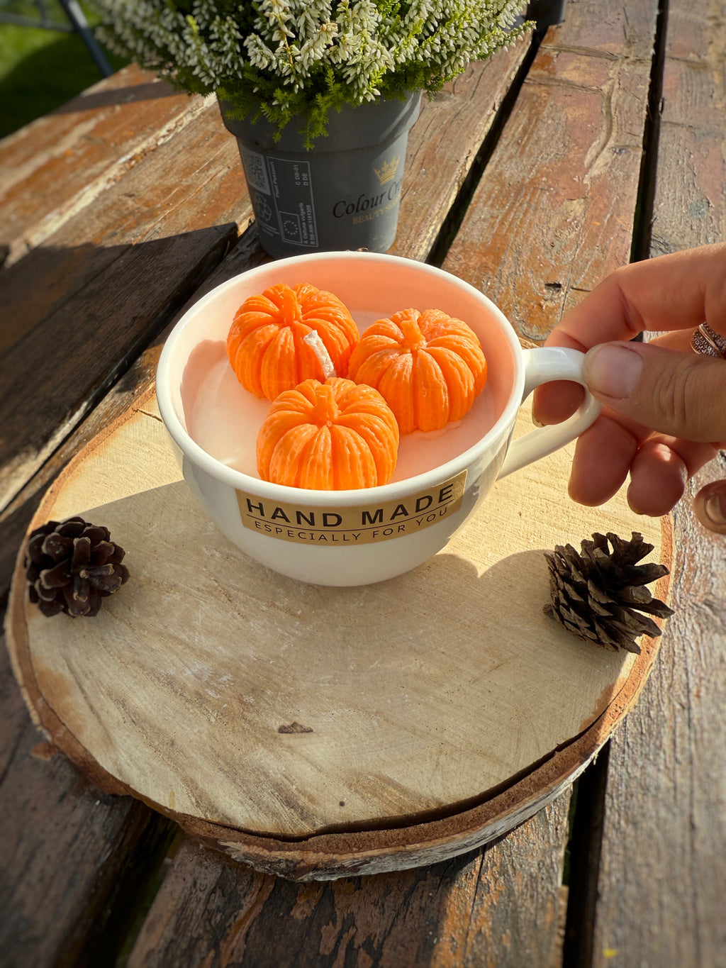 Soy Dessert Pumpkin Cream candle