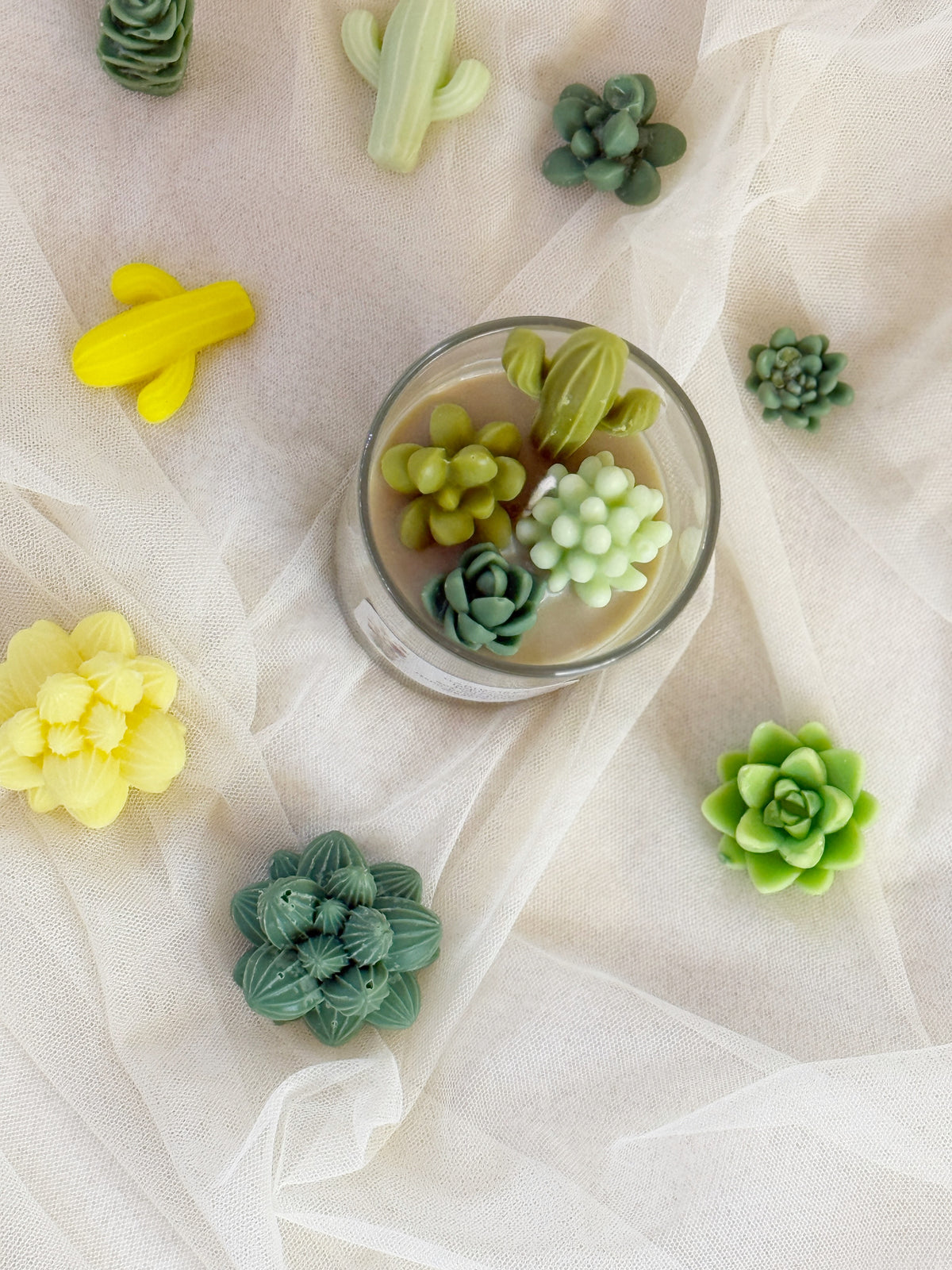Cactus Soy Wax candle in a glass