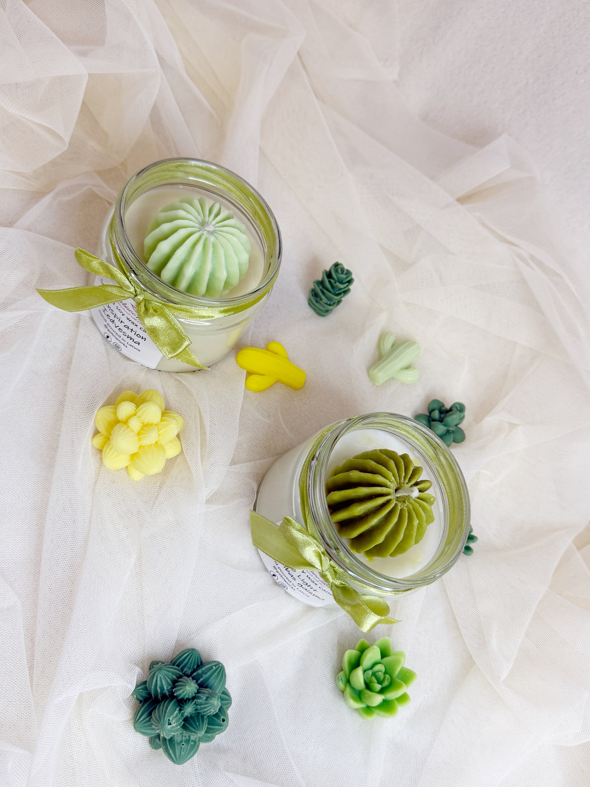 Cactus Soy candle