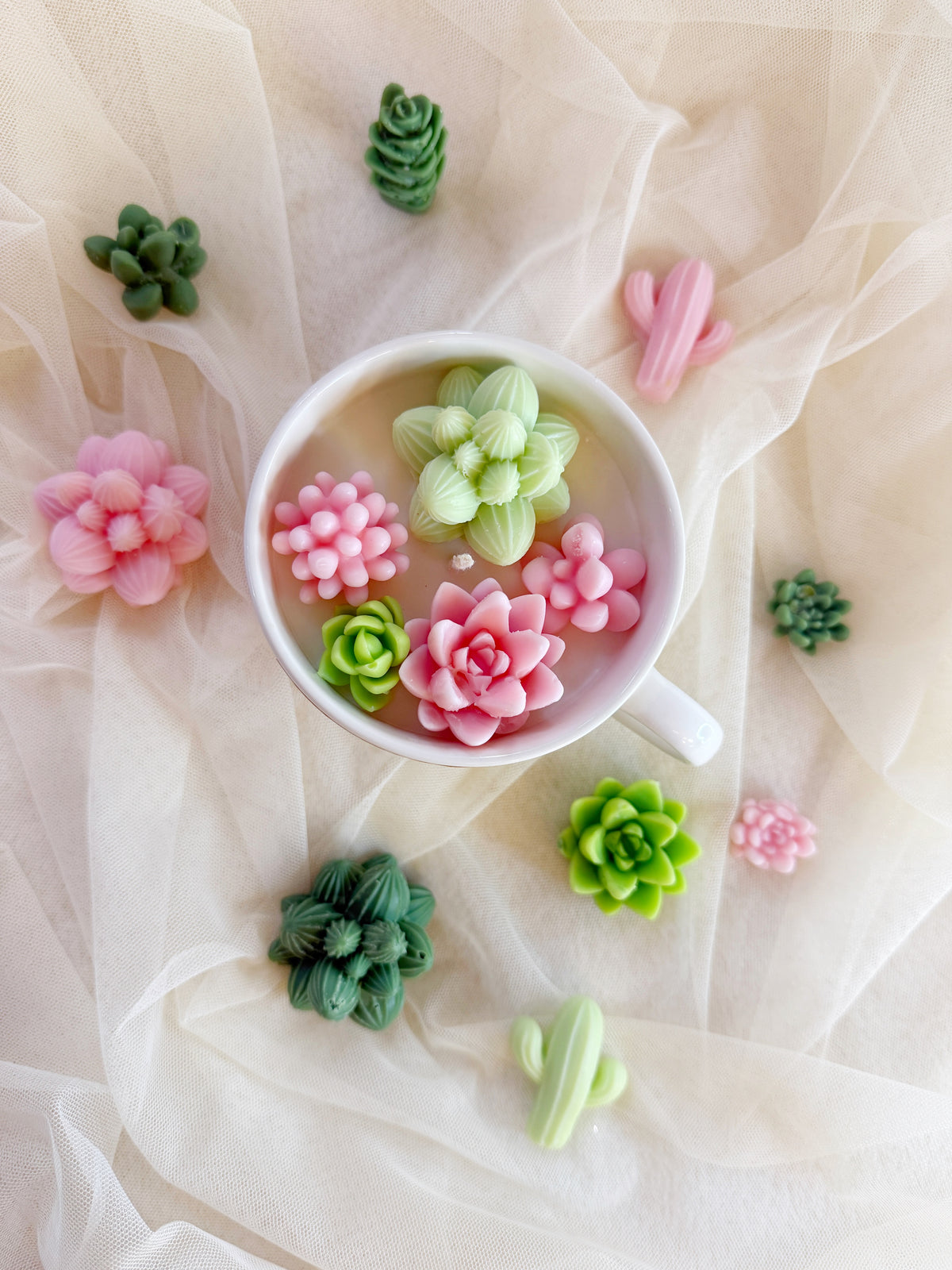 Cactus Soy wax candle